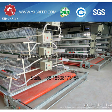 a Type Cage for Layers & Broilers Breeding Cage